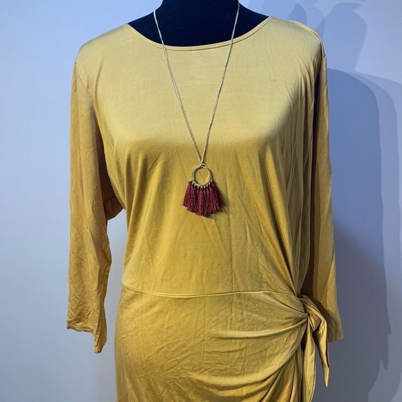 Anthropologie Tie Waist Dress  - Picture 4 of 5